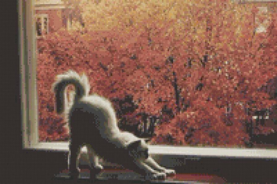 Кот и осень - кот, осень, кошка - предпросмотр