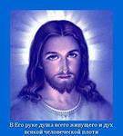 Схема вышивки «№1026247»