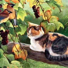 Схема вышивки «кошка и птицы»