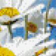 Предпросмотр схемы вышивки «ромашки» (№1026611)