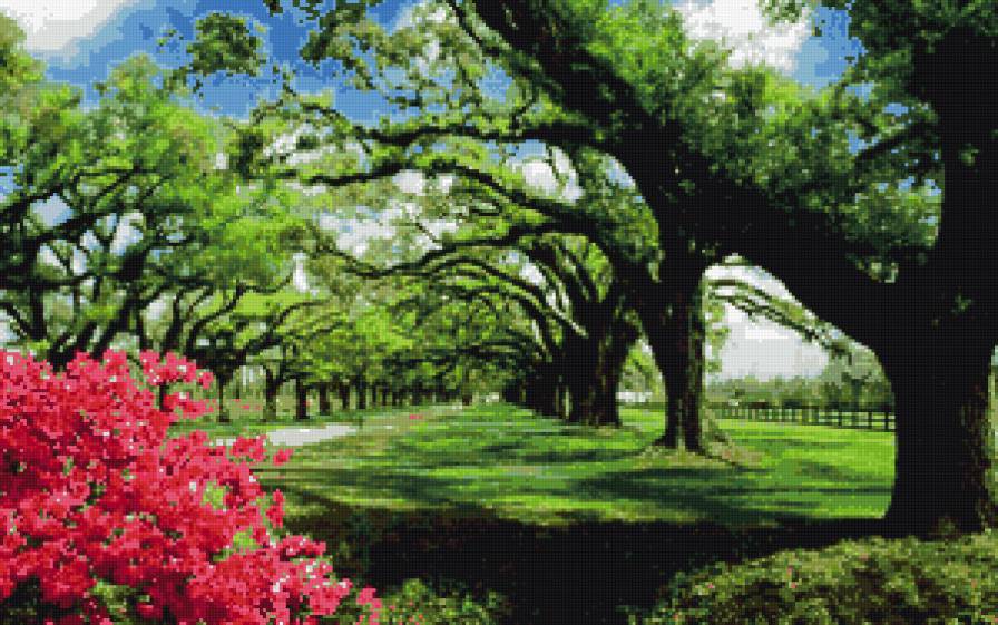 лето - природа - предпросмотр