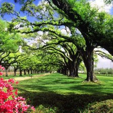 Схема вышивки «лето»