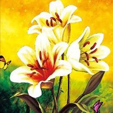 цветы и бабочки 2