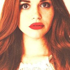 Схема вышивки «Холленд Роден»