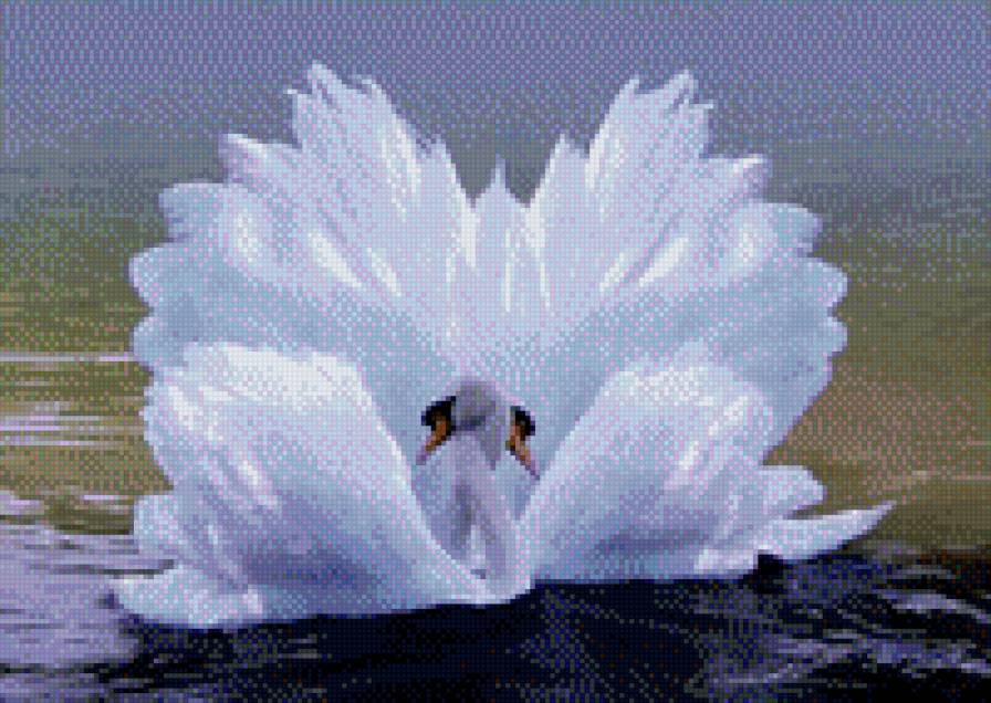 Swan love - схемы вышивки - предпросмотр