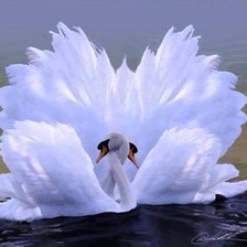 Схема вышивки «Swan love»