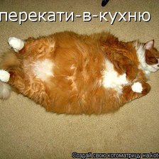 Схема вышивки «Перекати в кухню»