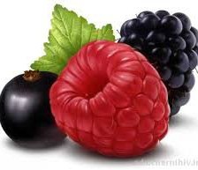 Схема вышивки «ягоды.чер.сморода.малина.ежевика»