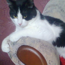 Мой Семушка