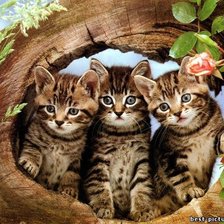 Схема вышивки «трое из ларца»