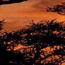 Схема вышивки «триптих левый низ»