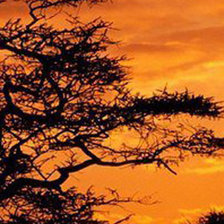 Схема вышивки «триптих середина верх»