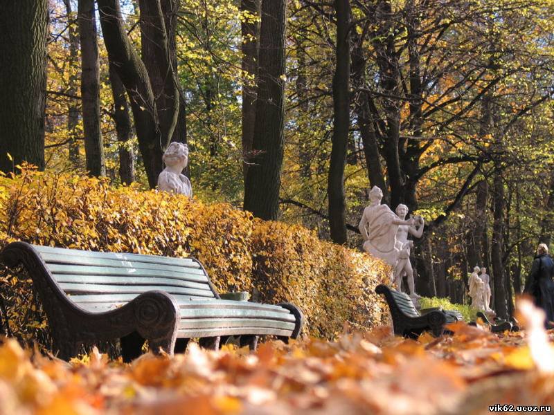 летний сад - оригинал