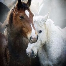 Схема вышивки «Лошади 2»