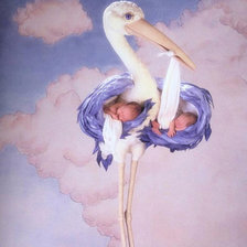 Наши малыши