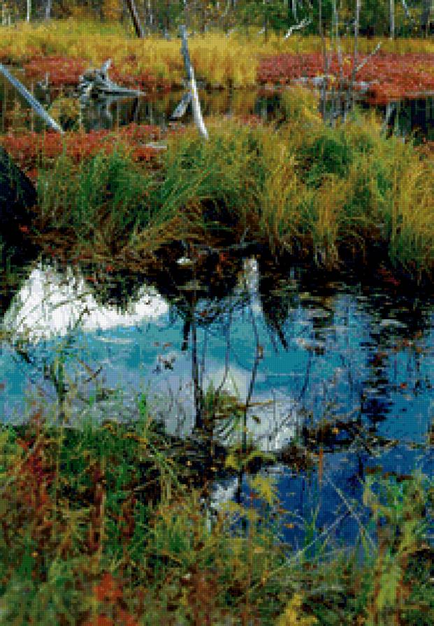 Озеро - осень, озеро, тундра - предпросмотр