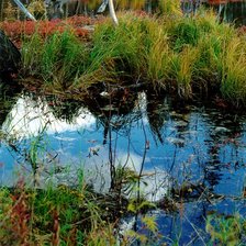 Схема вышивки «Озеро»