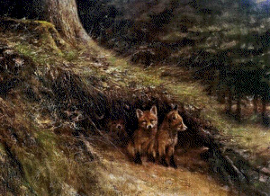 Семейство лисичек - лиса, лес, лисички, природа - предпросмотр