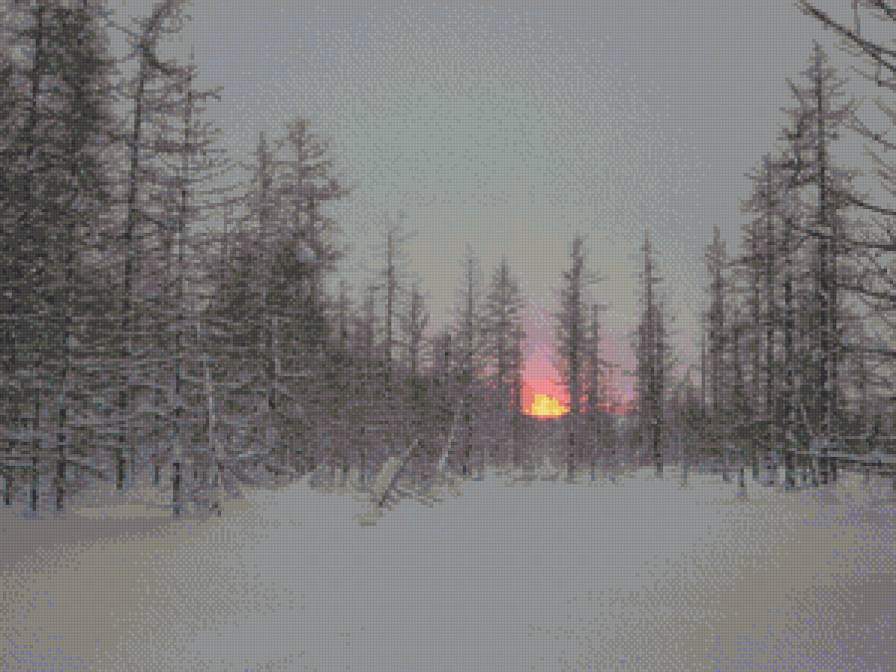 Тундра. Мартовский закат. - солнце, тундра, снег - предпросмотр