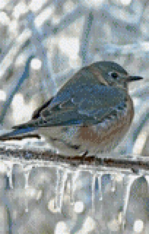 птица на ледяной ветке - птица - предпросмотр