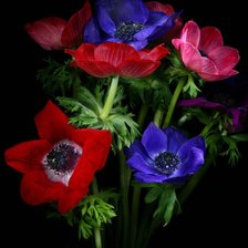 Схема вышивки «цветы»