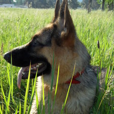 Схема вышивки «Кирюшка»