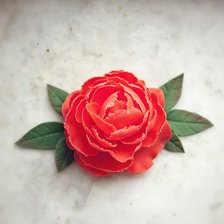 Схема вышивки «пион»