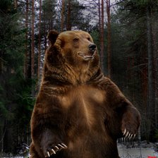 Схема вышивки «Медведь»