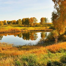 Схема вышивки «осень»