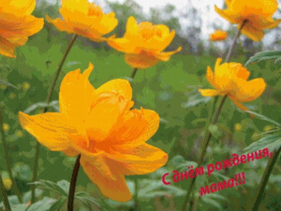 Открытка - поздравление, жарки - предпросмотр