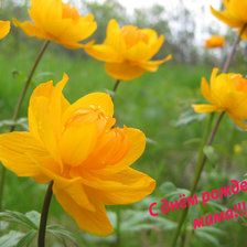 Схема вышивки «Открытка»