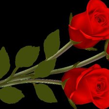 Схема вышивки «розы»