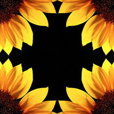 Схема вышивки «Подсолнухи»