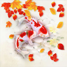 Схема вышивки «Японские карпы»