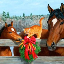 Схема вышивки «2325521601»