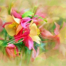 Цветочная акварель