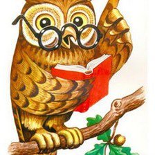 мудрая сова