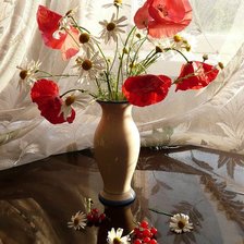 маки в вазе