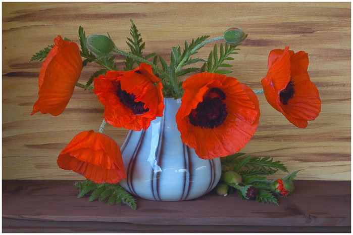 маки в вазе - цветы - оригинал