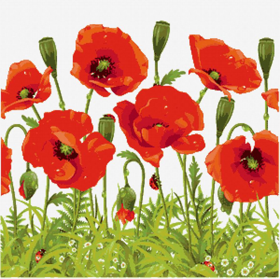 мак - предпросмотр