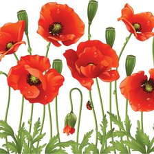 Схема вышивки «мак»