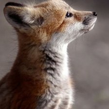 Схема вышивки «№1031099»