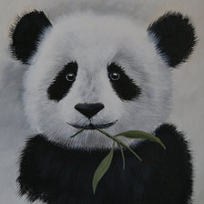 Схема вышивки «panda»