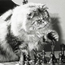 Схема вышивки «шахматист»