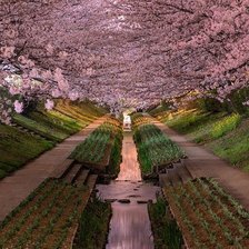 Схема вышивки «природа японии»