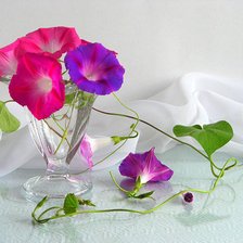 Схема вышивки «винька»