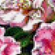Предпросмотр схемы вышивки «Натюрморт» (№1031663)