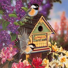 птицы у домика