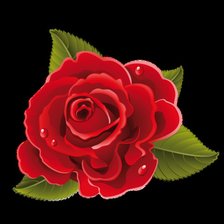 Схема вышивки «роза»