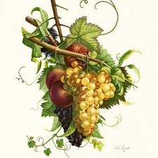 Схема вышивки «виноград»